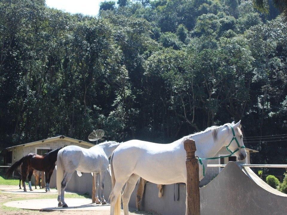 Hotel Fazenda Apm Caieiras エクステリア 写真